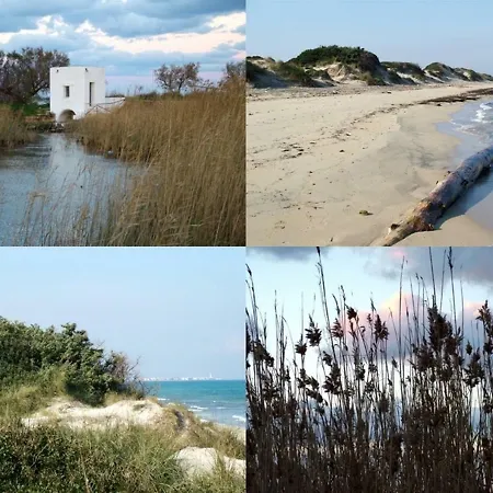 Adriatica Rosa Marina