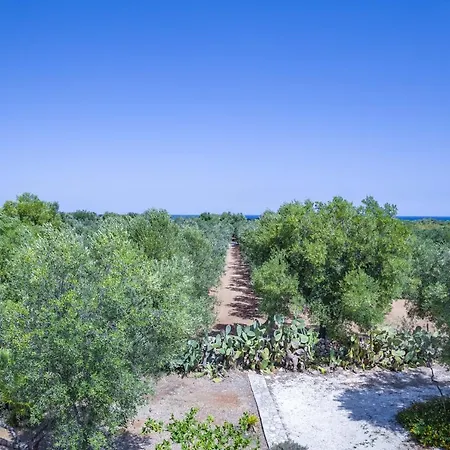 Vila Adriatica *